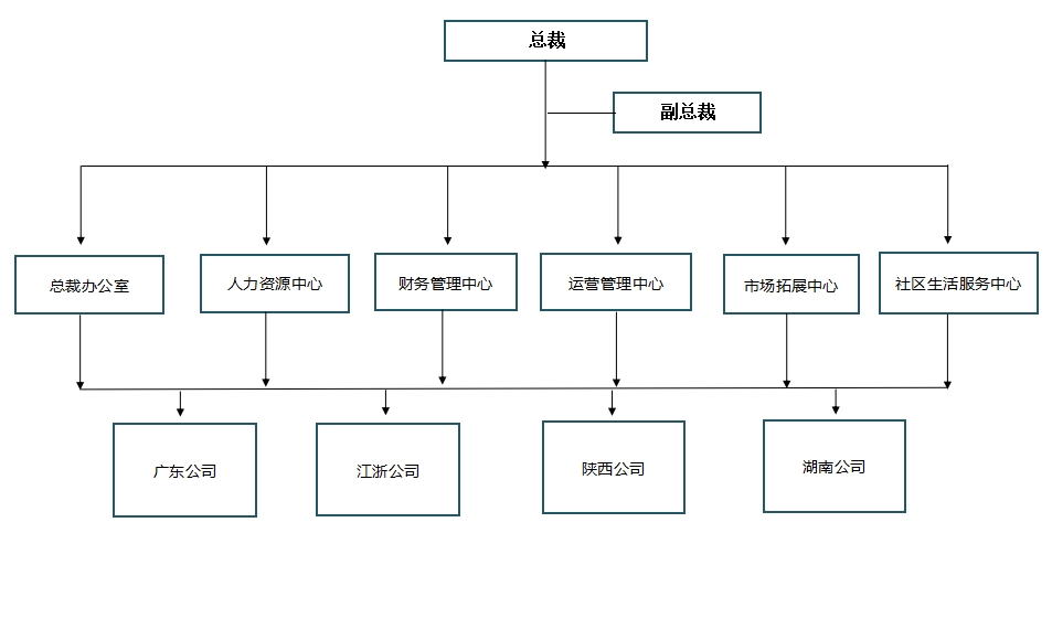 组织架构