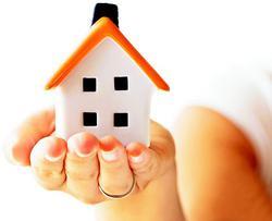 3056e567-0e6b-4f34-9056-204dc2aa4bd9.jpg