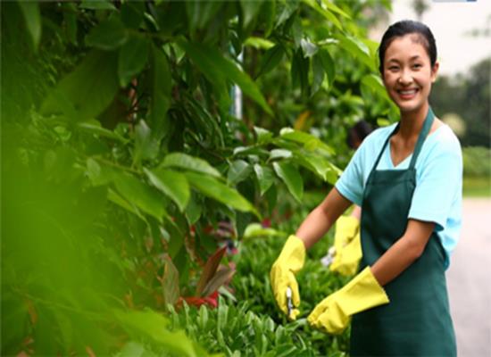 关于印发《新疆维吾尔自治区物业服务收费管理